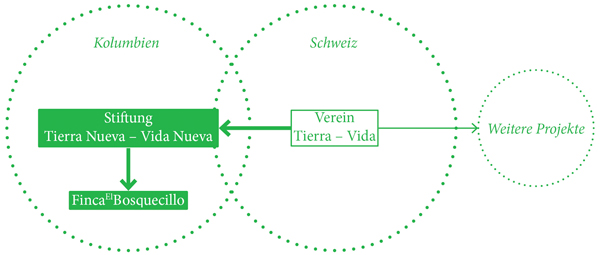 organisationsstruktur_600